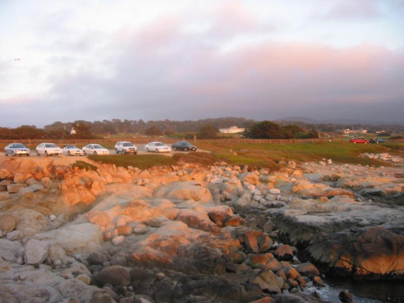 2004/06 June/Monterey Big Sur/800x600_IMG_0862.JPG